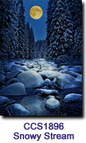 Snowy Stream Charity Select Holiday Card